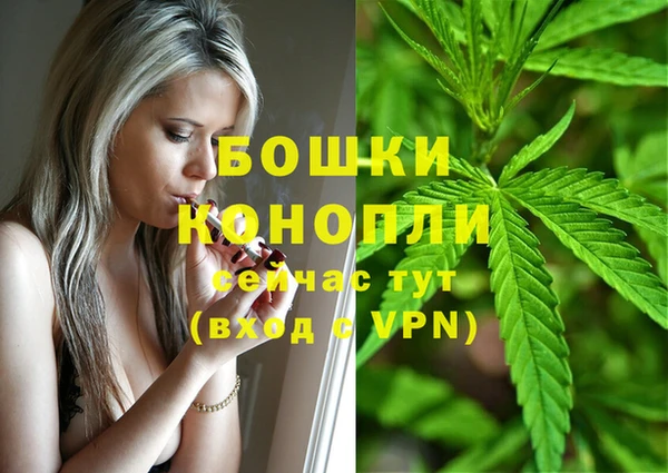 ПСИЛОЦИБИНОВЫЕ ГРИБЫ Наволоки