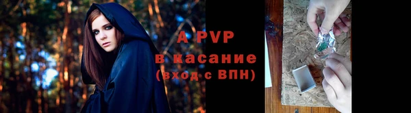 ПСИЛОЦИБИНОВЫЕ ГРИБЫ Наволоки