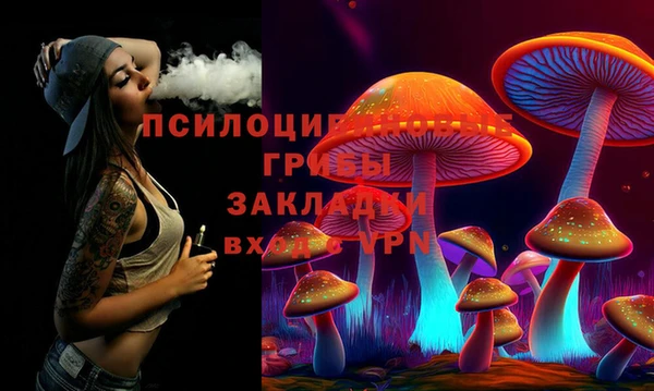 ПСИЛОЦИБИНОВЫЕ ГРИБЫ Наволоки