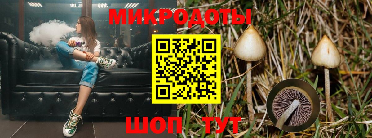Псилоцибиновые грибы GOLDEN TEACHER Сосновый Бор